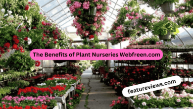 The Benefits of Plant Nurseries Webfreen.com